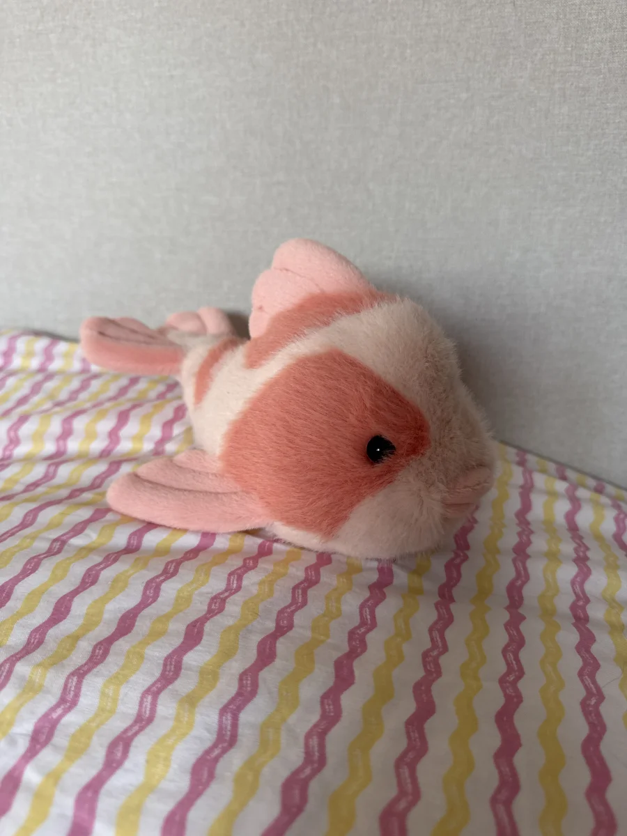 Side - Fancy Carp photo by mila_jellycat07