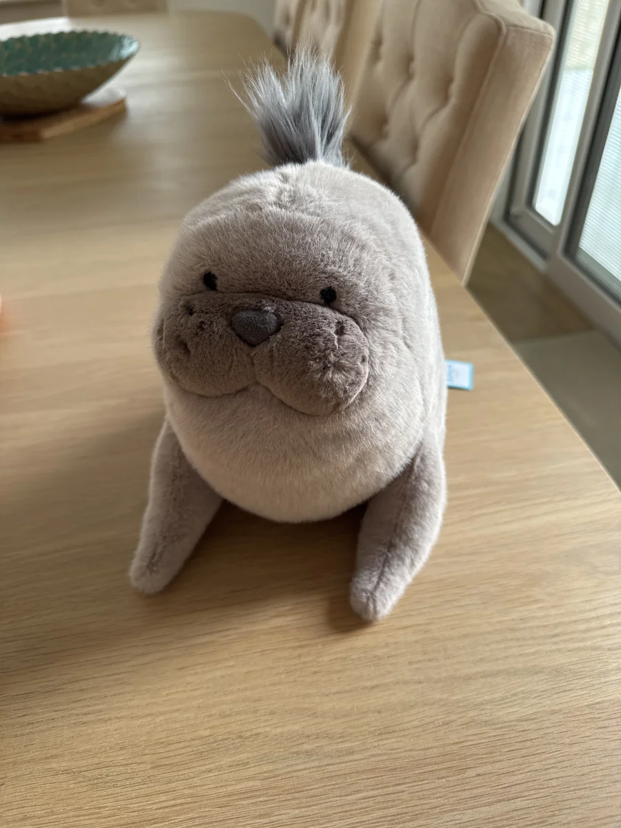Front - Roarwell Sea Lion photo by Trace