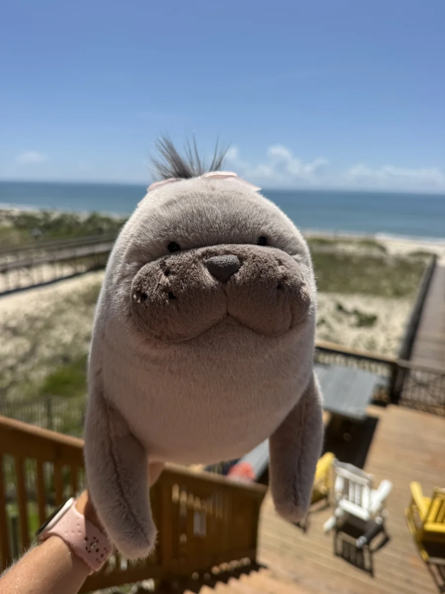 Lifestyle - Roarwell Sea Lion photo by Em’s_jellies