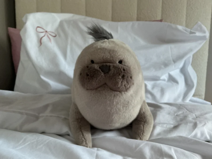 Front - Roarwell Sea Lion photo by NaanaB15