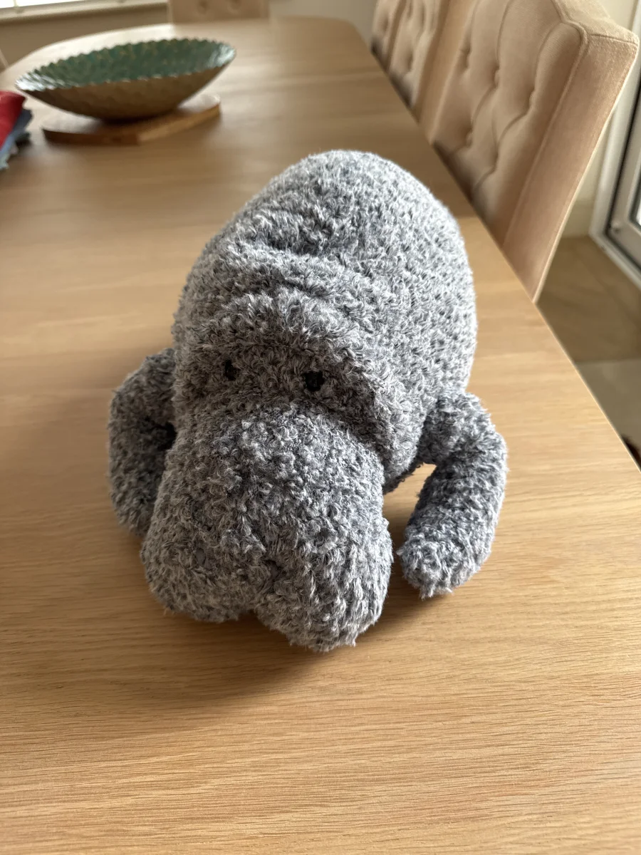 Front - Maffles Manatee photo by Trace