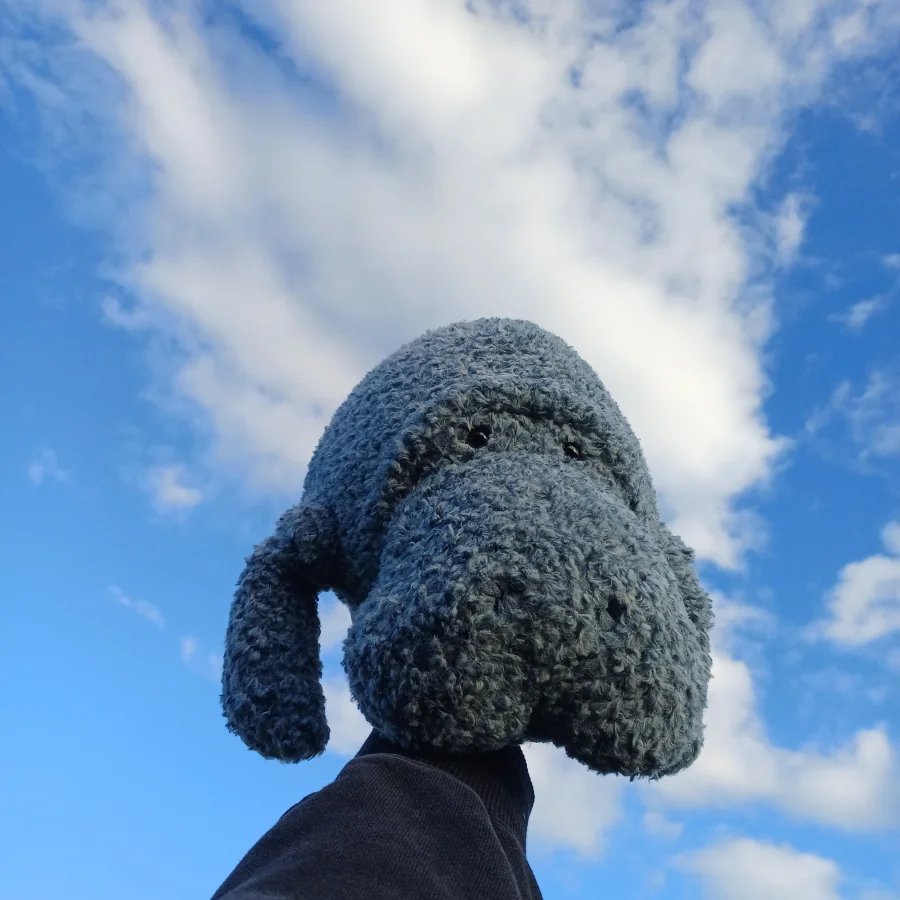 Front - Maffles Manatee photo by herbgardenplush