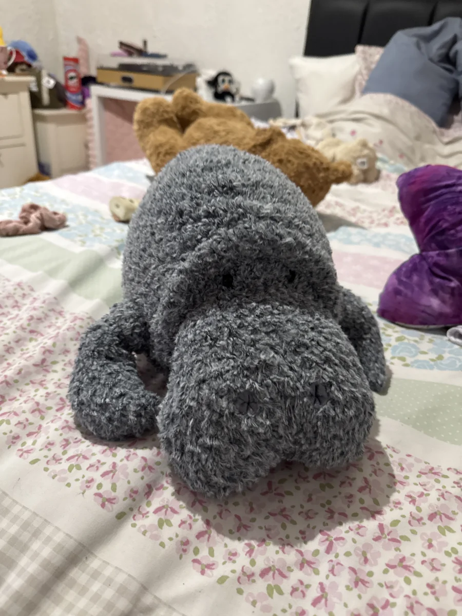 Front - Maffles Manatee photo by Queen_xlilyx