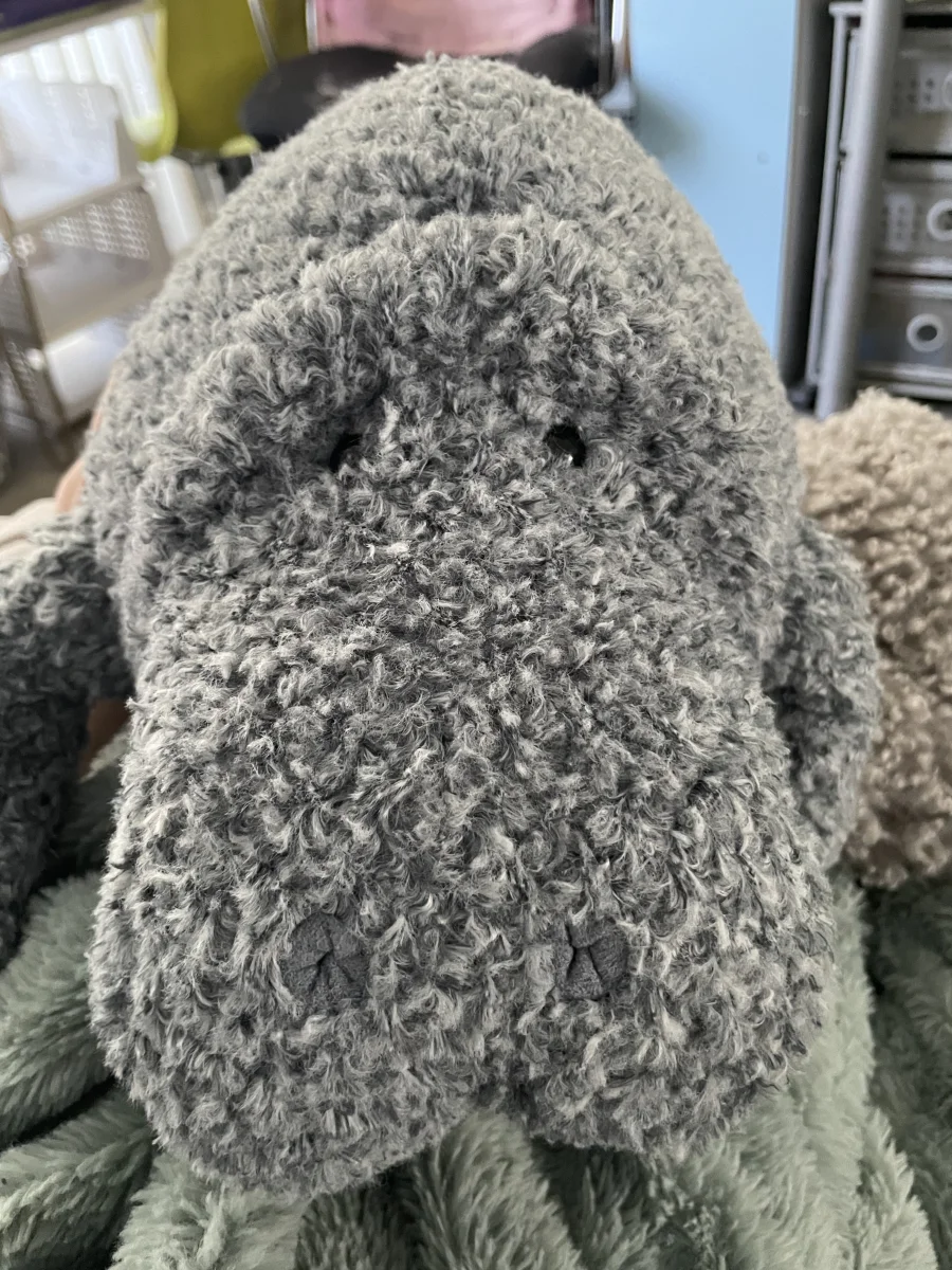 Front - Maffles Manatee photo by Jellycat_351