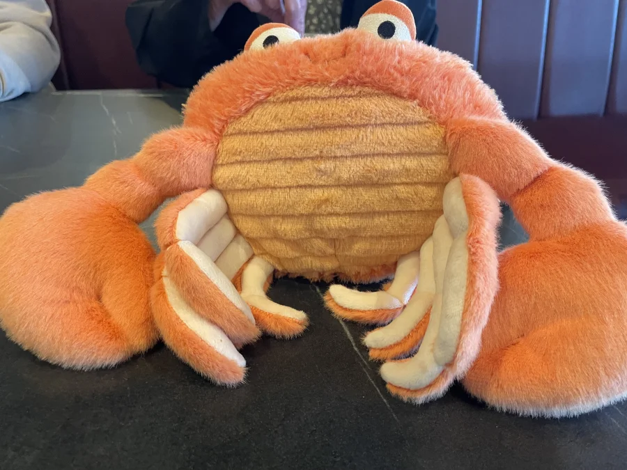 Front - Pinchsnap Crab photo by Maisie_Moo2021