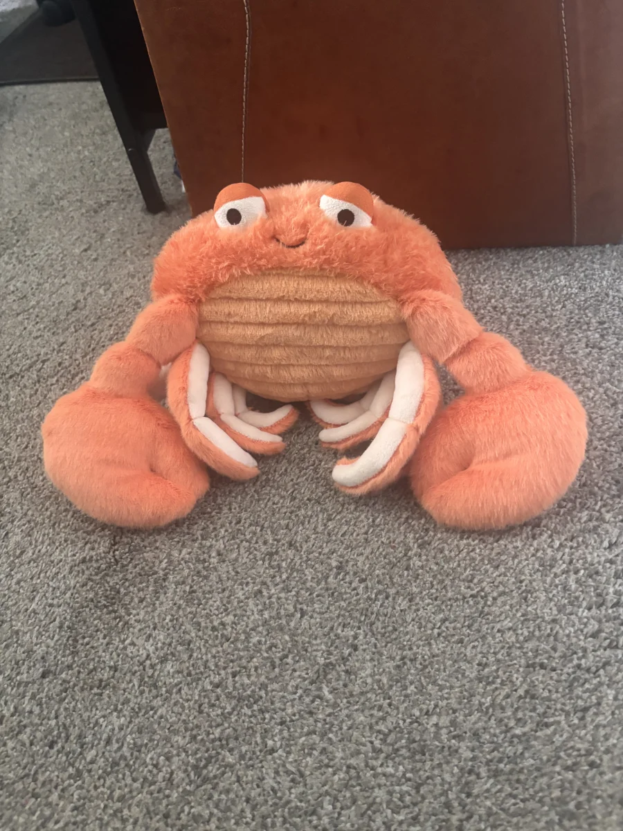 Front - Pinchsnap Crab photo by CharlieP