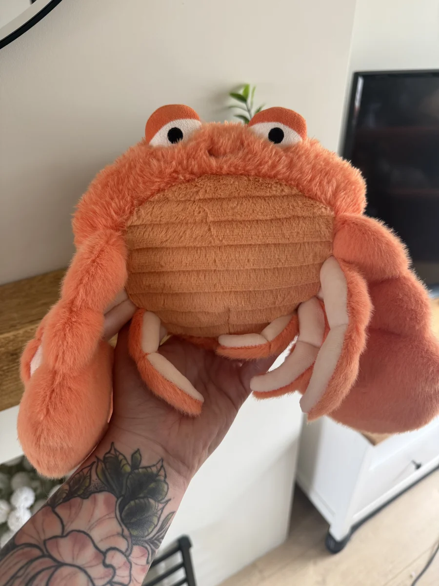 Front - Pinchsnap Crab photo by sarahcilia