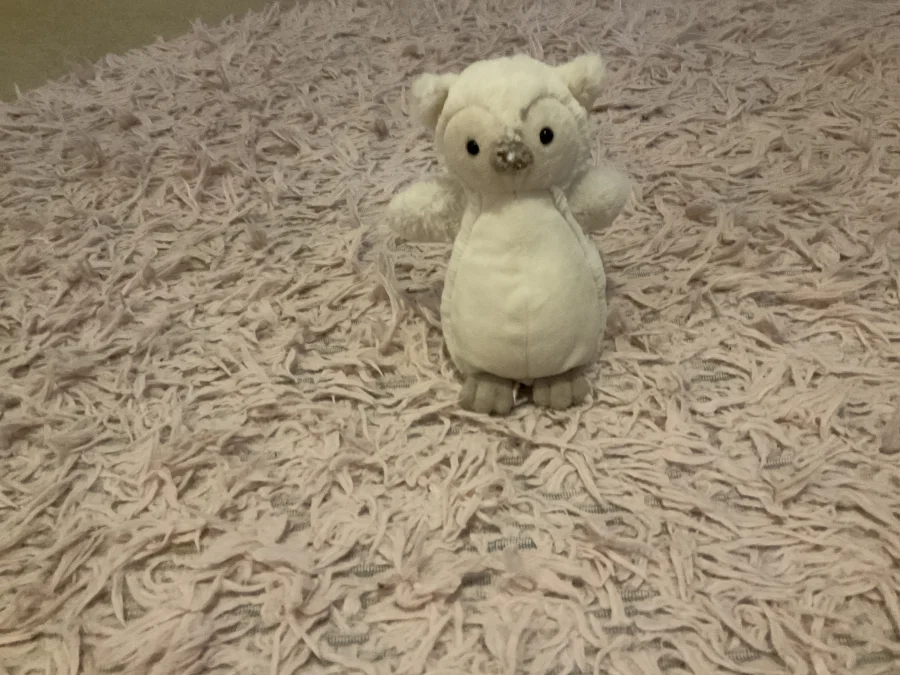 Front - Snowy Owl - Small photo by Panda_Jellycat