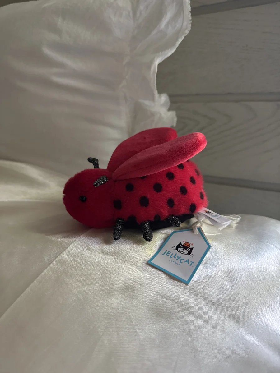 Side - Loulou Love Bug photo by brooklynnmc