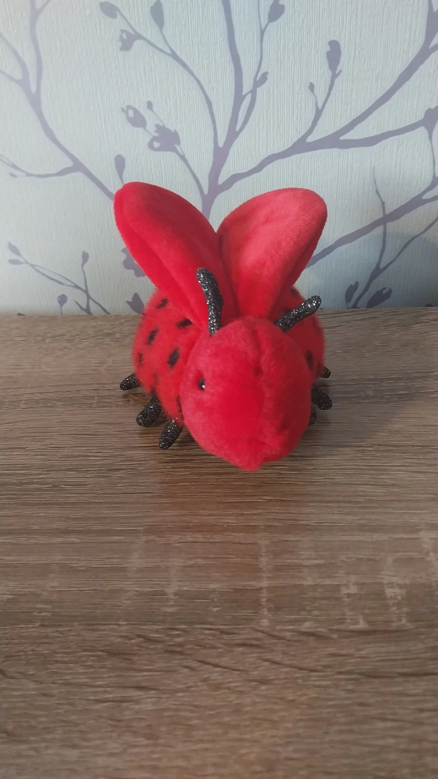 Front - Loulou Love Bug photo by Hope_Collectablez