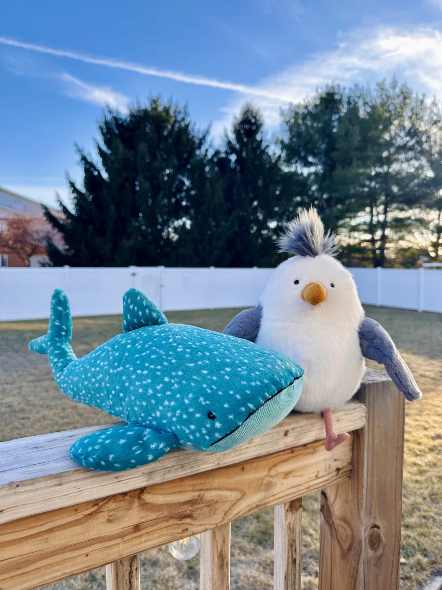 Lifestyle - Chip Seagull photo by kc_plushies