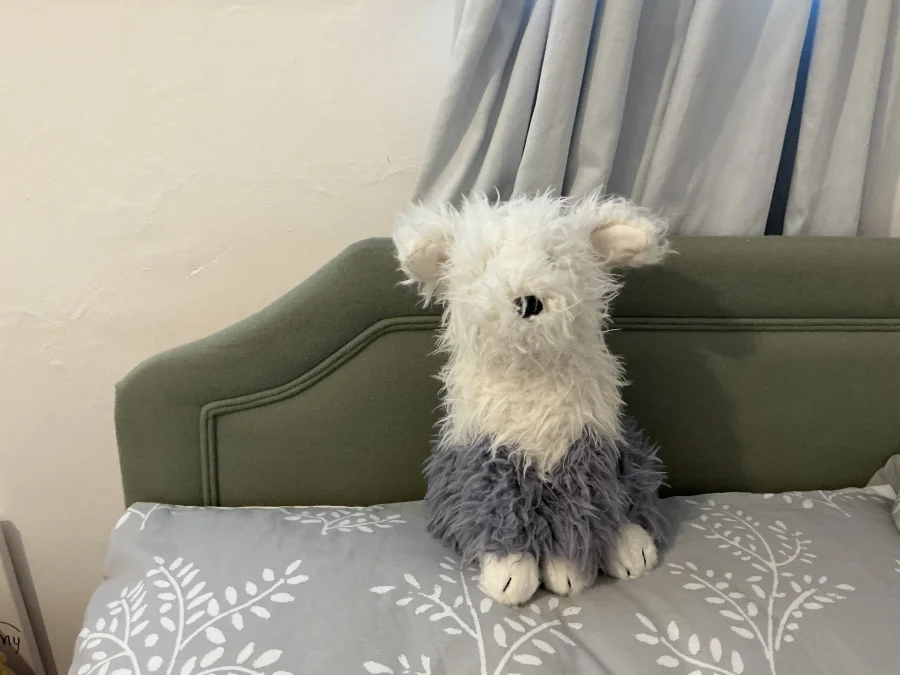 Front - Ewert Sheepdog photo by JellyGirl270