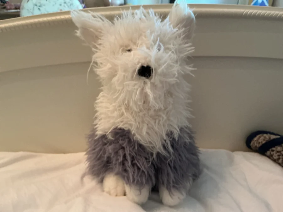 Front - Ewert Sheepdog photo by Jellys2015