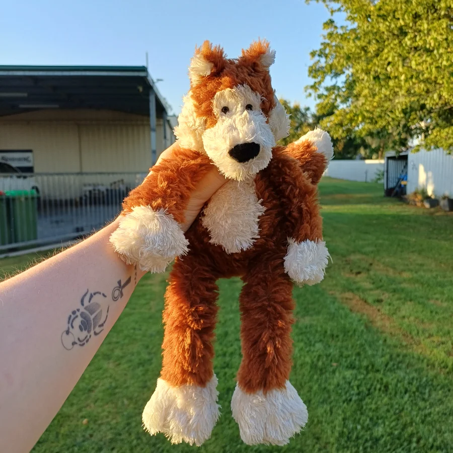 Front - Pickles Fox - Small photo by herbgardenplush