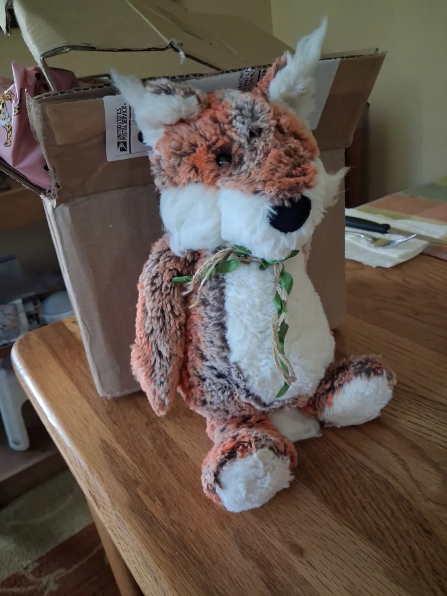 Front - Woodland Babe Fox photo by kit21088