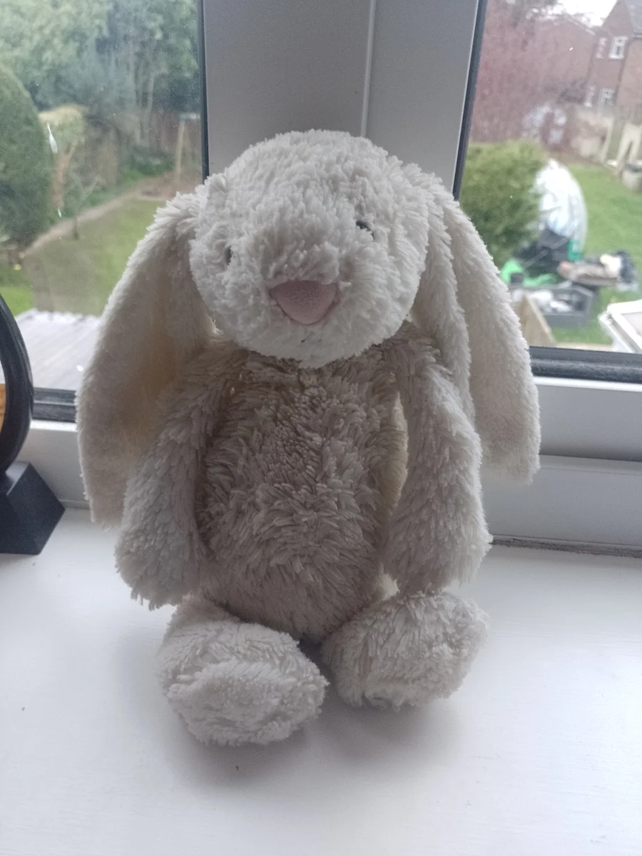 Lifestyle - Bashful Cream Bunny - Medium photo by Ash!