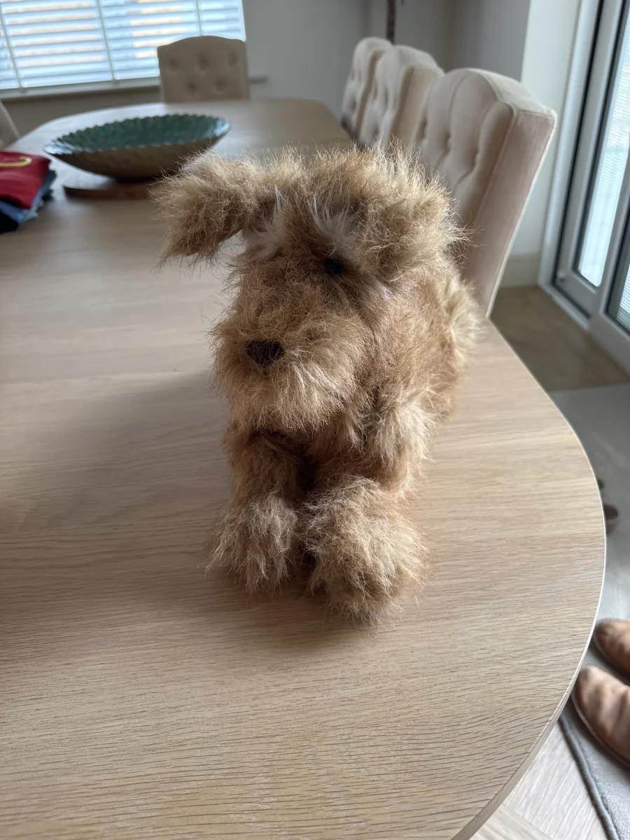 Scruffles Rescue Dog Jellycat Photo by Trace | Jelly Journal