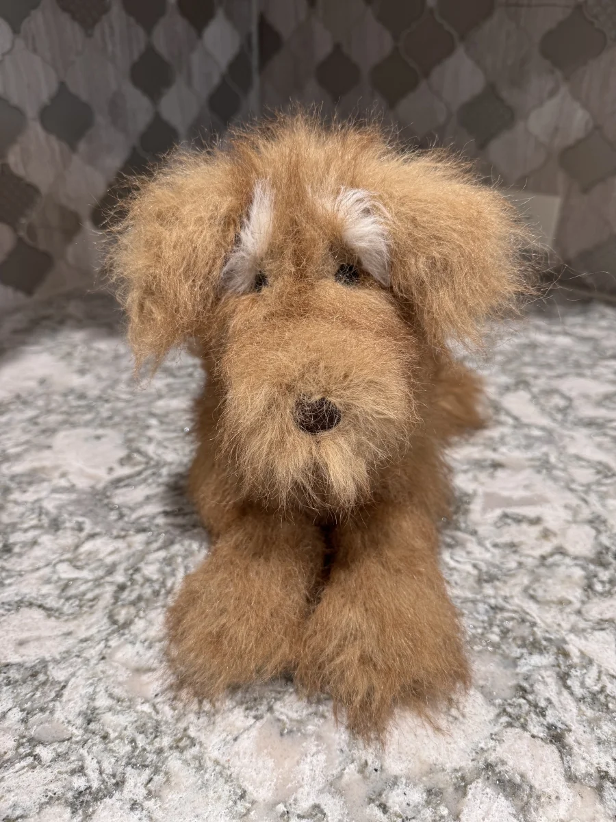 Front - Scruffles Rescue Dog photo by SnowLeopard821