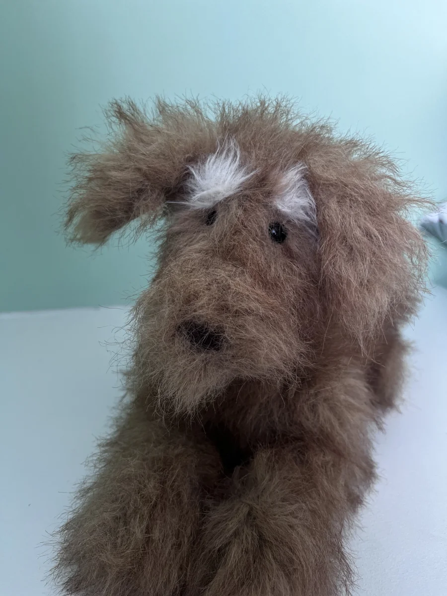 Front - Scruffles Rescue Dog photo by M1ZZYM00