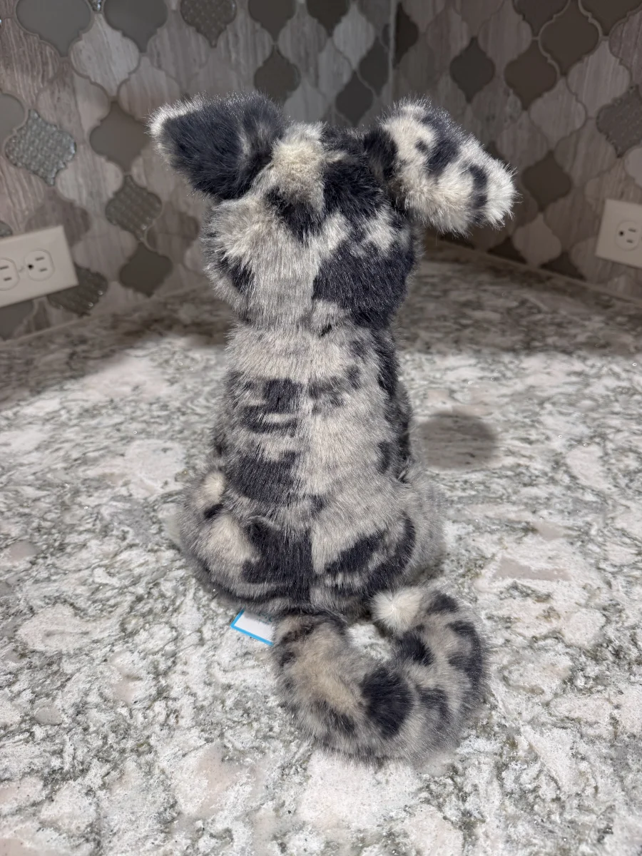 Back - Fluff Rescue Dog photo by SnowLeopard821