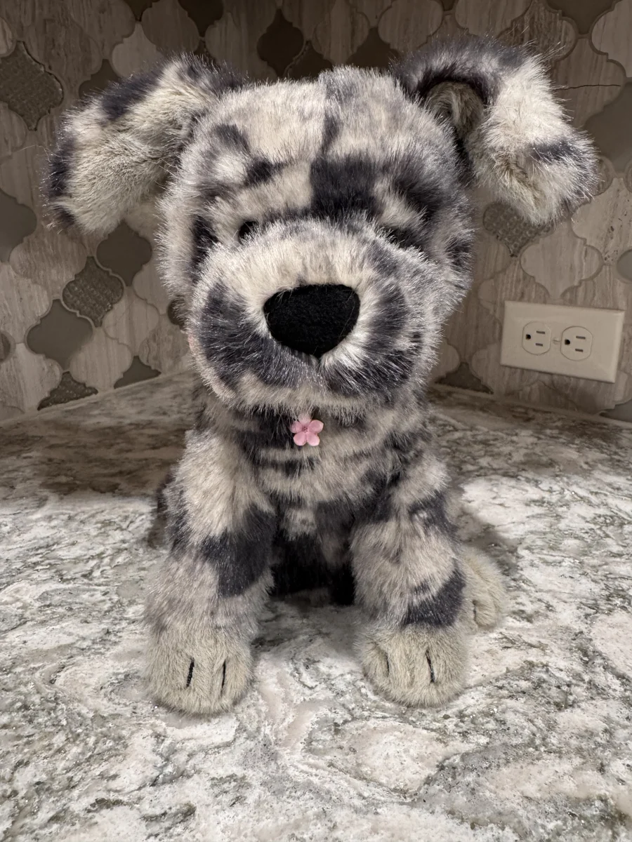 Front - Fluff Rescue Dog photo by SnowLeopard821