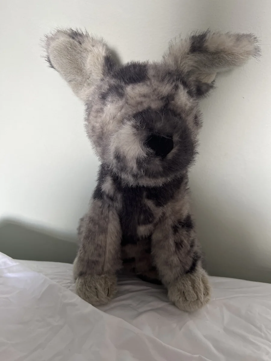 Front - Fluff Rescue Dog photo by jellycat1235