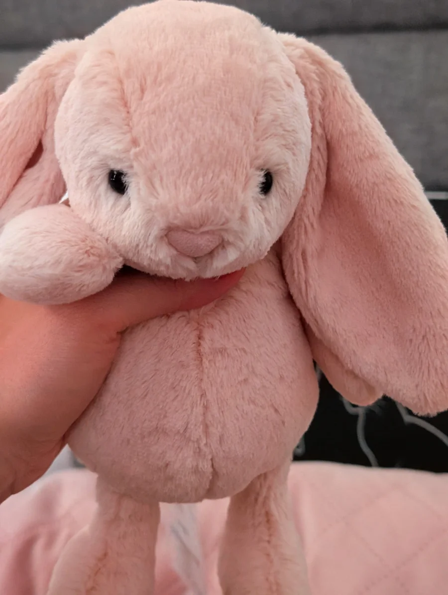 Bashful Bunny Junior Jellycat Photo by Jelly_shebear | Jelly Journal