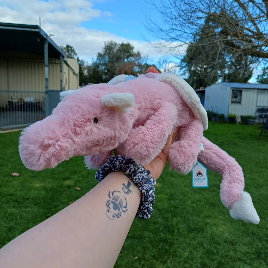 Front - Duskrise Dragon photo by herbgardenplush