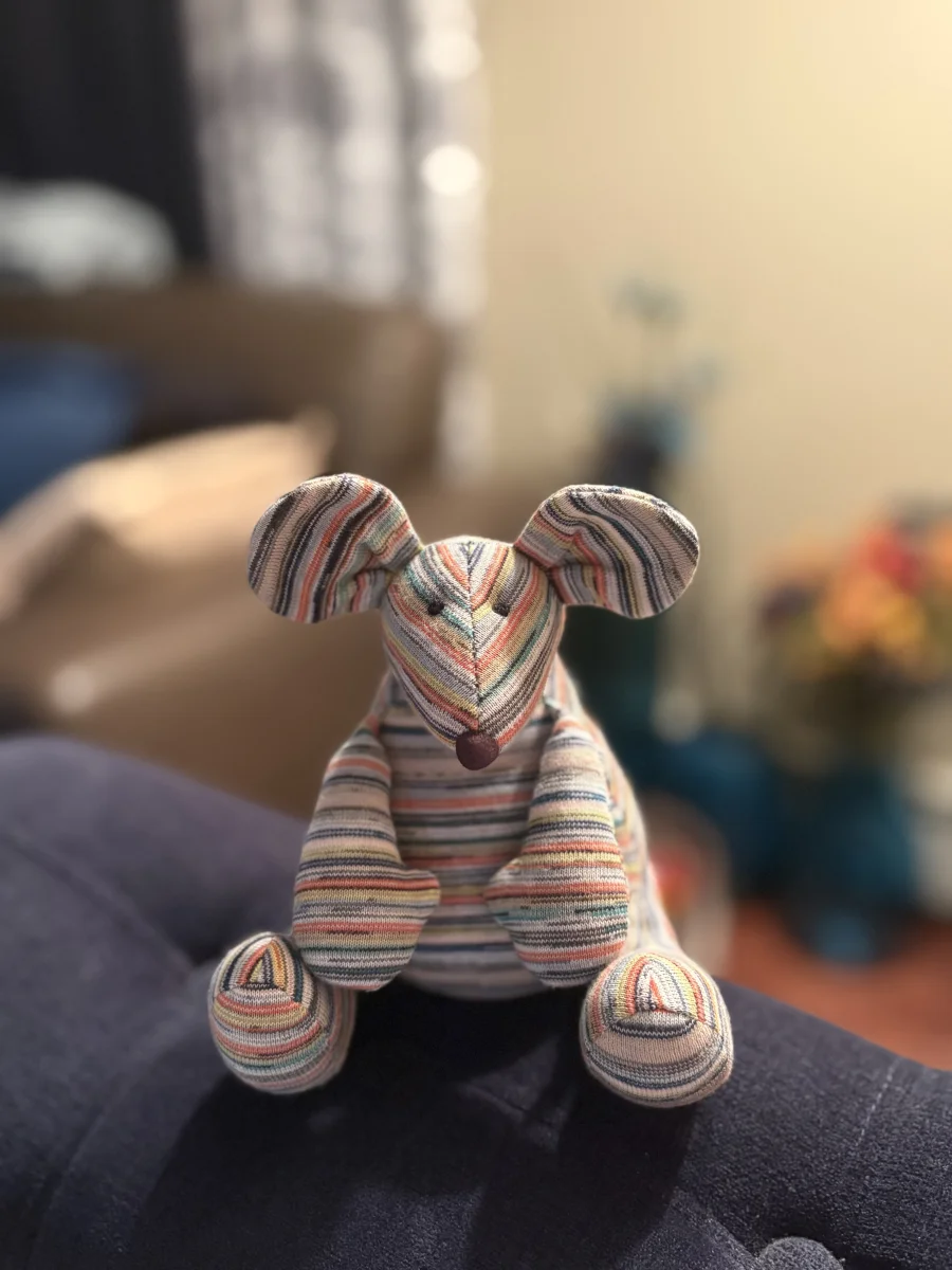 Front - Jellycat X Muji Striped Mouse photo by kaleighsjellies