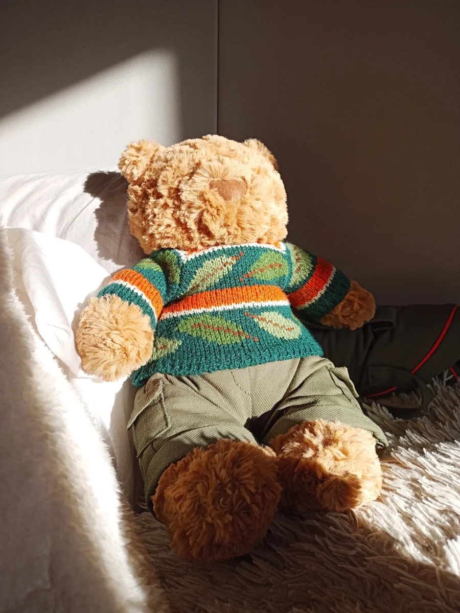 Front - Bartholomew Bear Hiking Outfit photo by 0nlyz0e