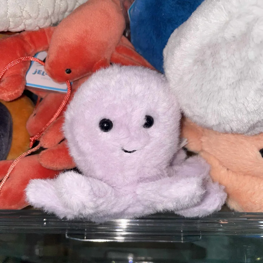 Front - Fluffy Octopus photo by Tiff