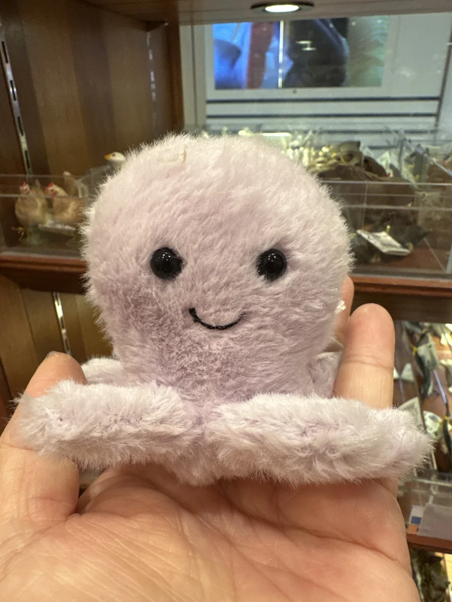 Front - Fluffy Octopus photo by Gwynval