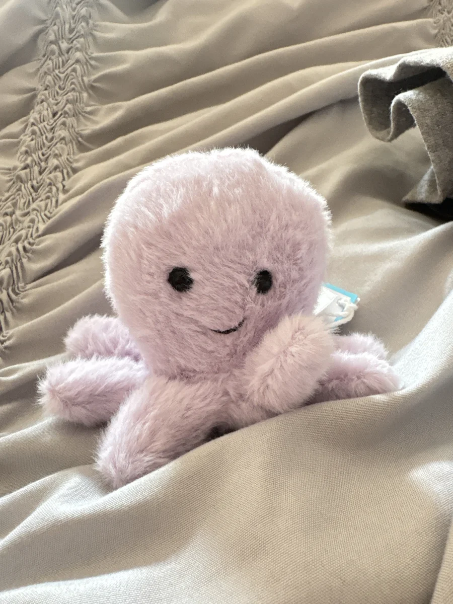 Front - Fluffy Octopus photo by trulyavaa2609