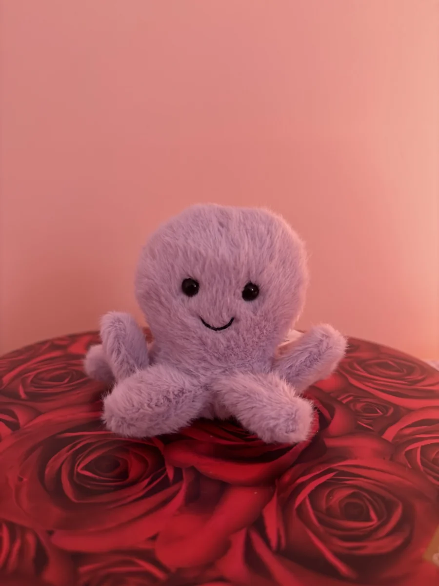 Front - Fluffy Octopus photo by catycake