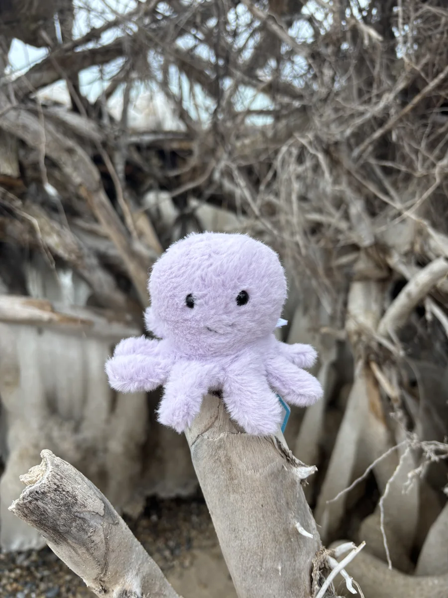Front - Fluffy Octopus photo by olliejellies