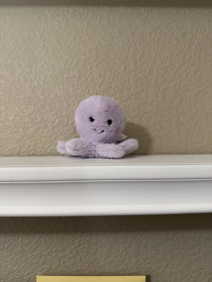 Front - Fluffy Octopus photo by jelly_kayla