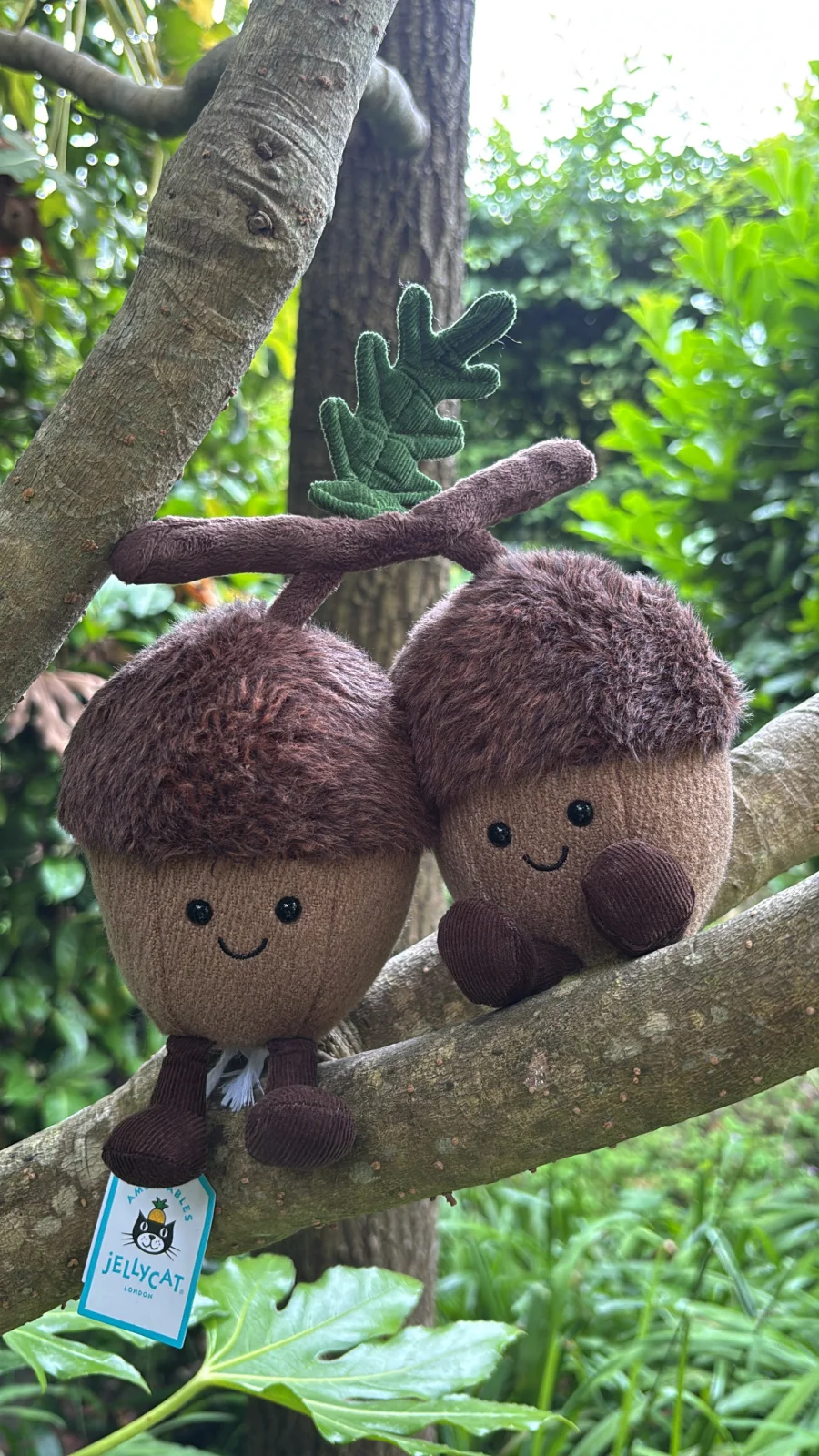 Ort & Tum Acorns Jellycat Photo by Jelly_Journey | Jelly Journal
