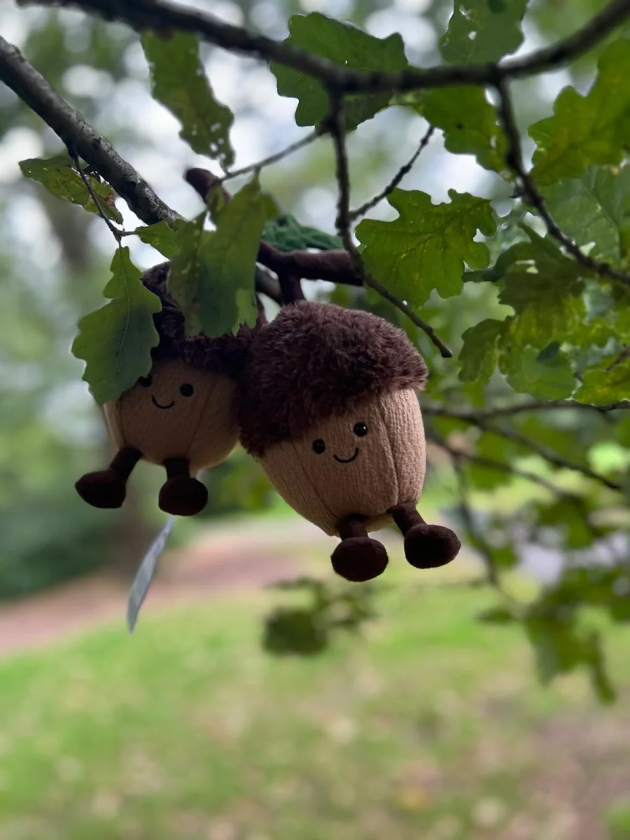 Lifestyle - Amuseables Ort & Tum Acorns photo by Blissjelly2002