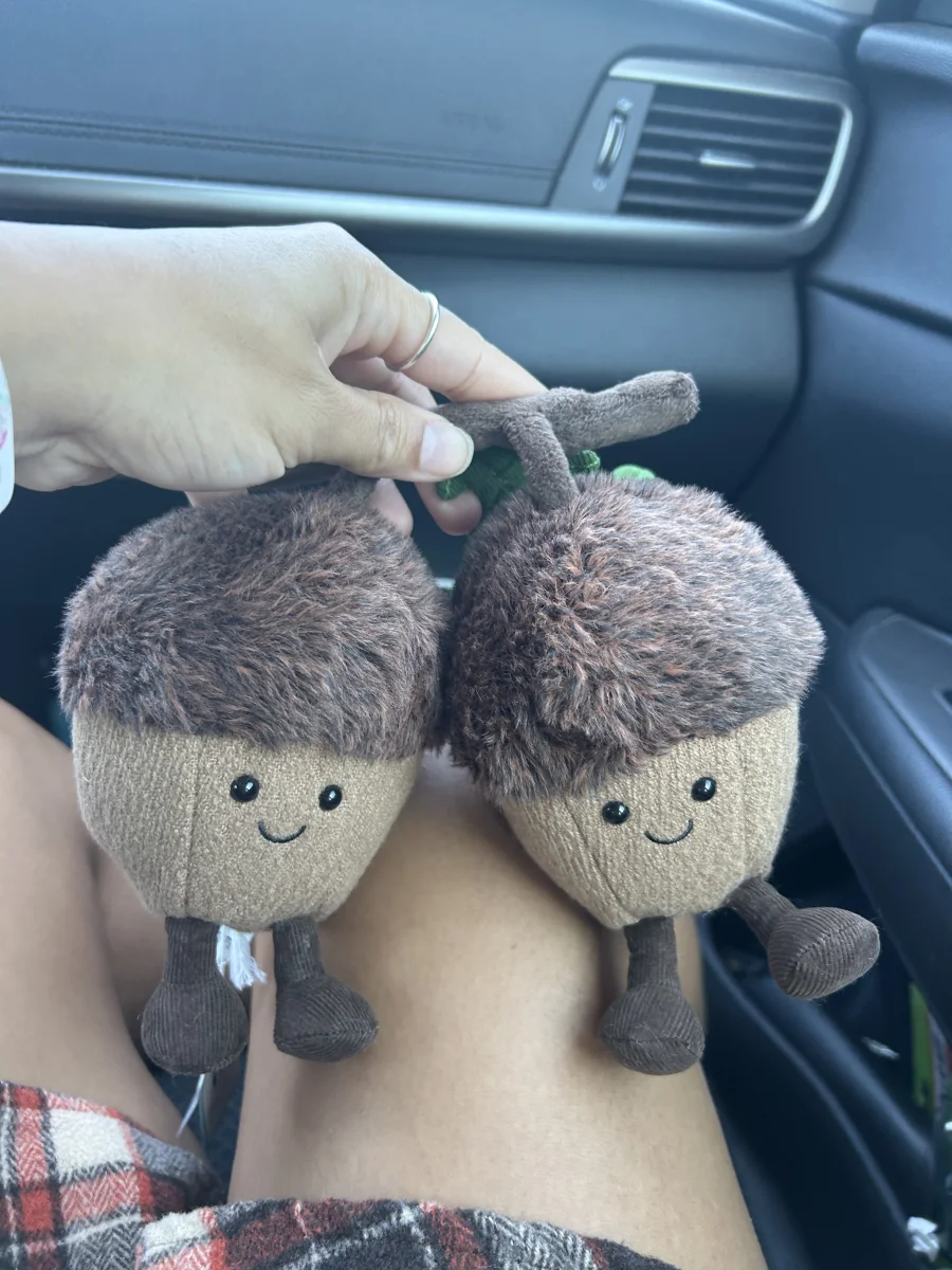 Front - Amuseables Ort & Tum Acorns photo by KarMill02
