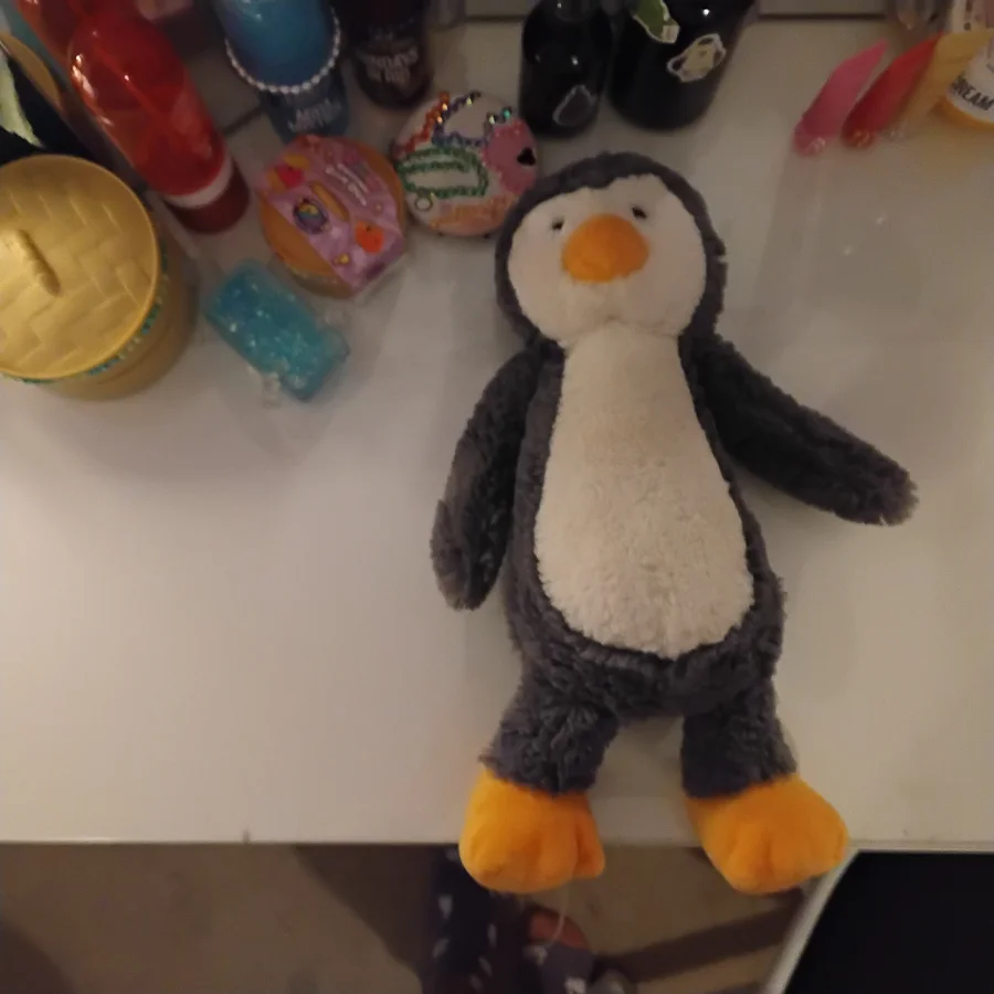 Front - Bashful Penguin - 2013 photo by TheJellyCollector