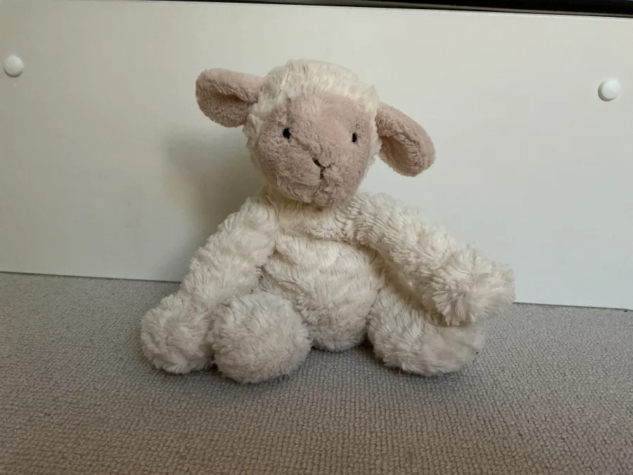 Front - Fuddlewuddle Lamb photo by Sophlovjellycat
