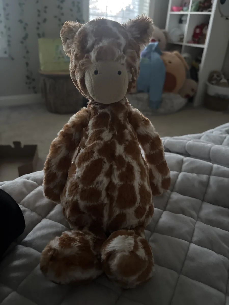 Front - Bashful Giraffe - Medium photo by mias_jellycats