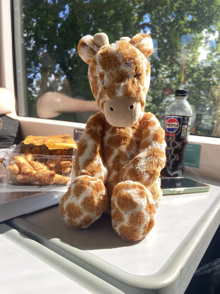 Front - Bashful Giraffe - Medium photo by Jessica2014