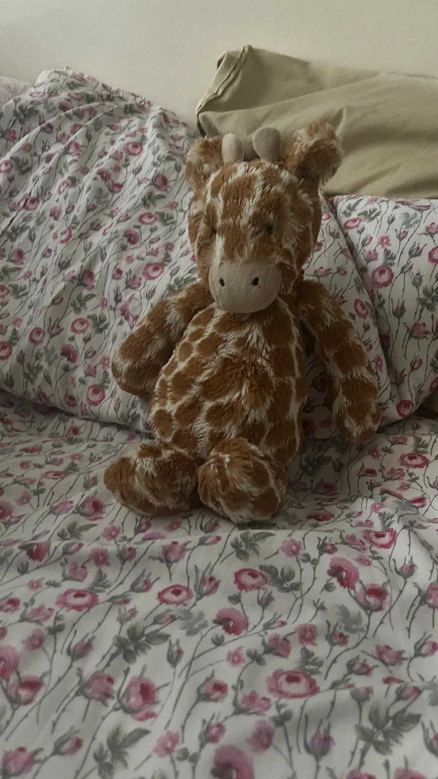 Front - Bashful Giraffe - Medium photo by lidiia