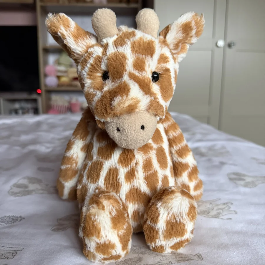 Front - Bashful Giraffe - Medium photo by Rach01