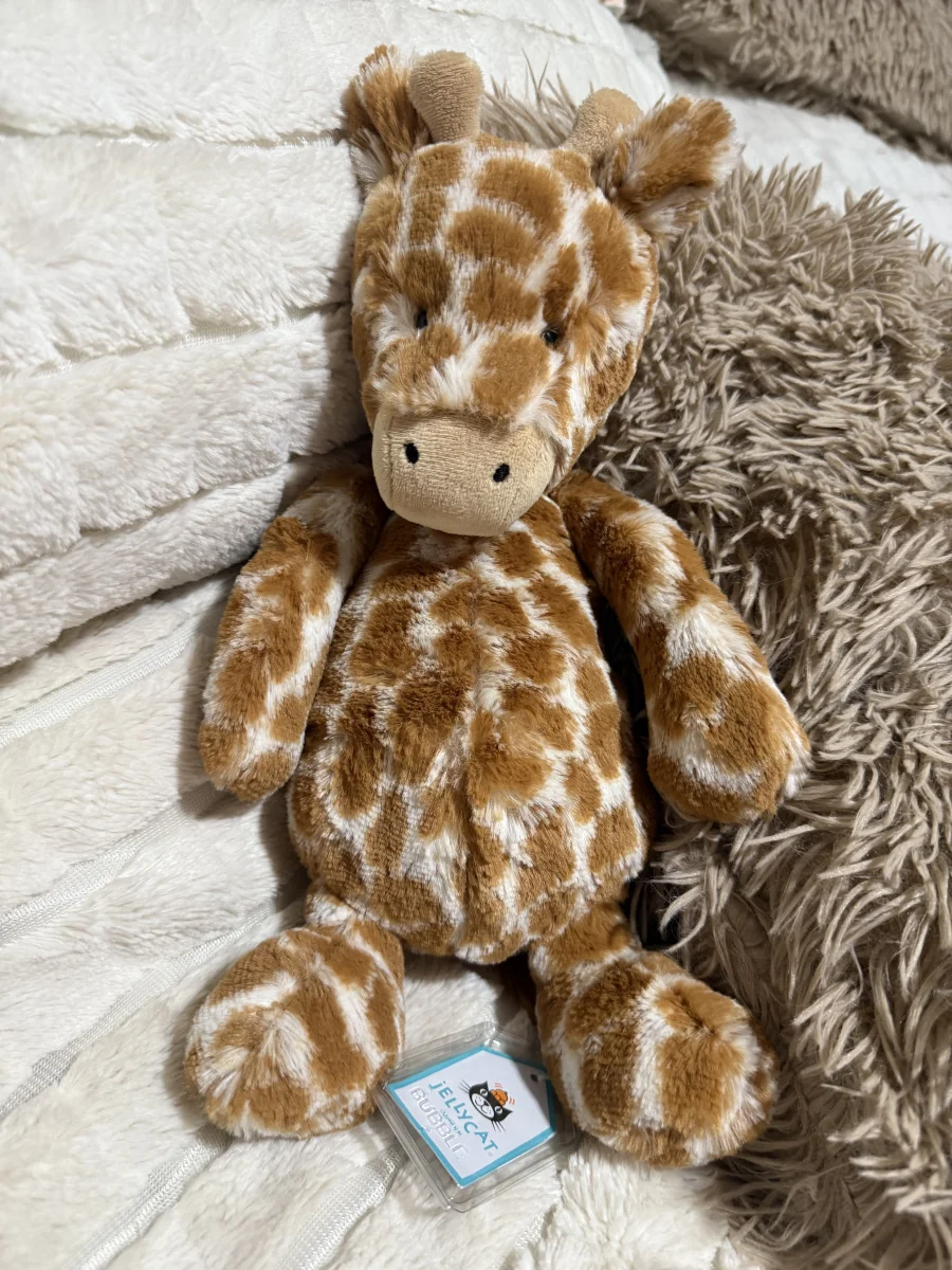Front - Bashful Giraffe - Medium photo by Mandy_75