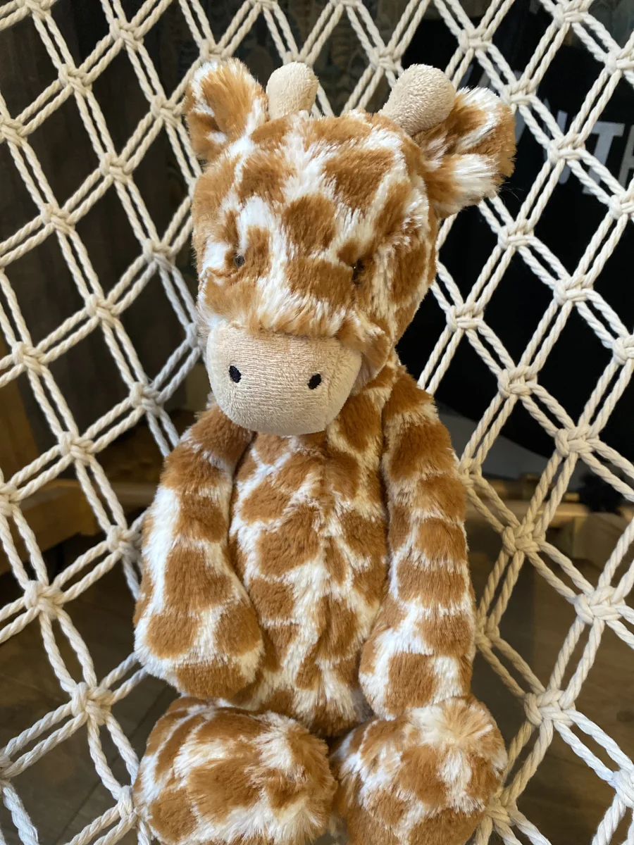 Front - Bashful Giraffe - Medium photo by My_Jellybeans