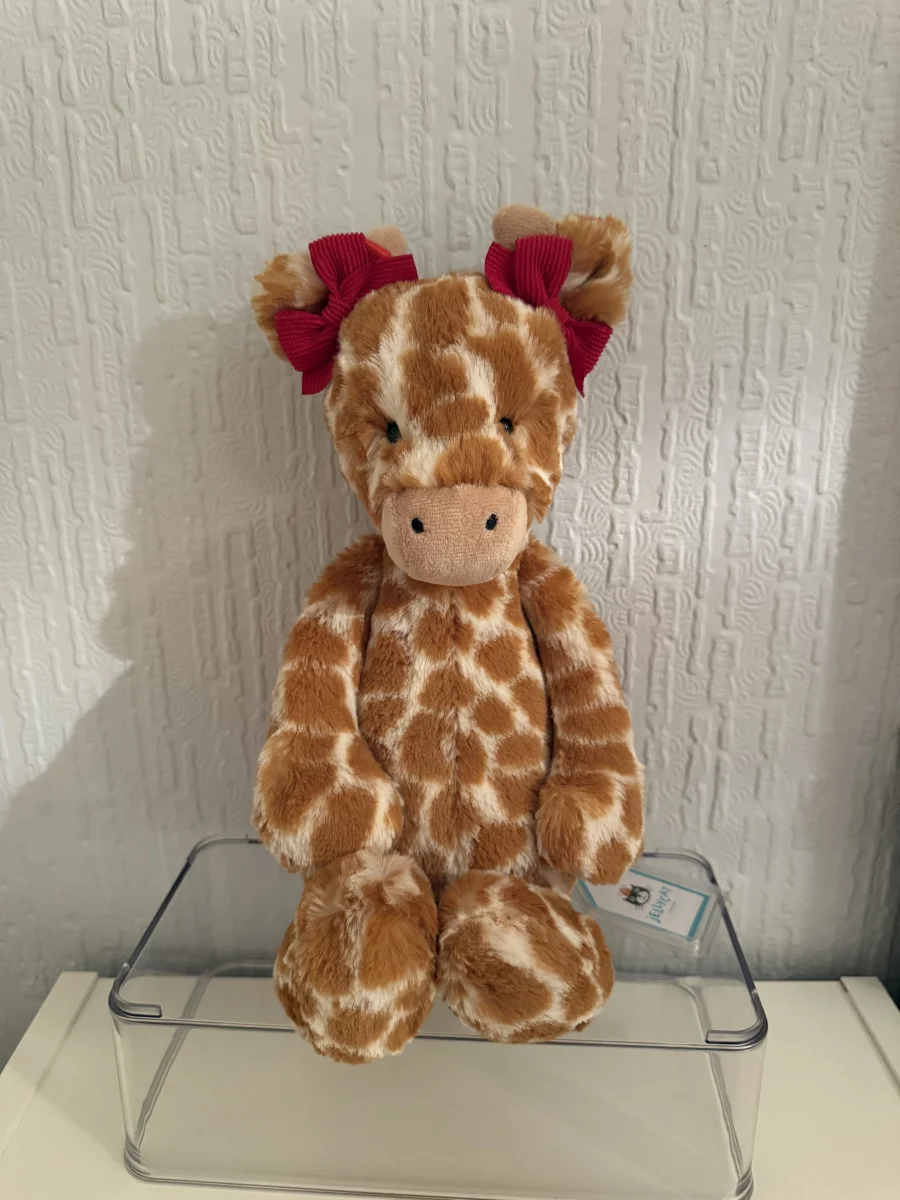 Front - Bashful Giraffe - Medium photo by Bethanyxox