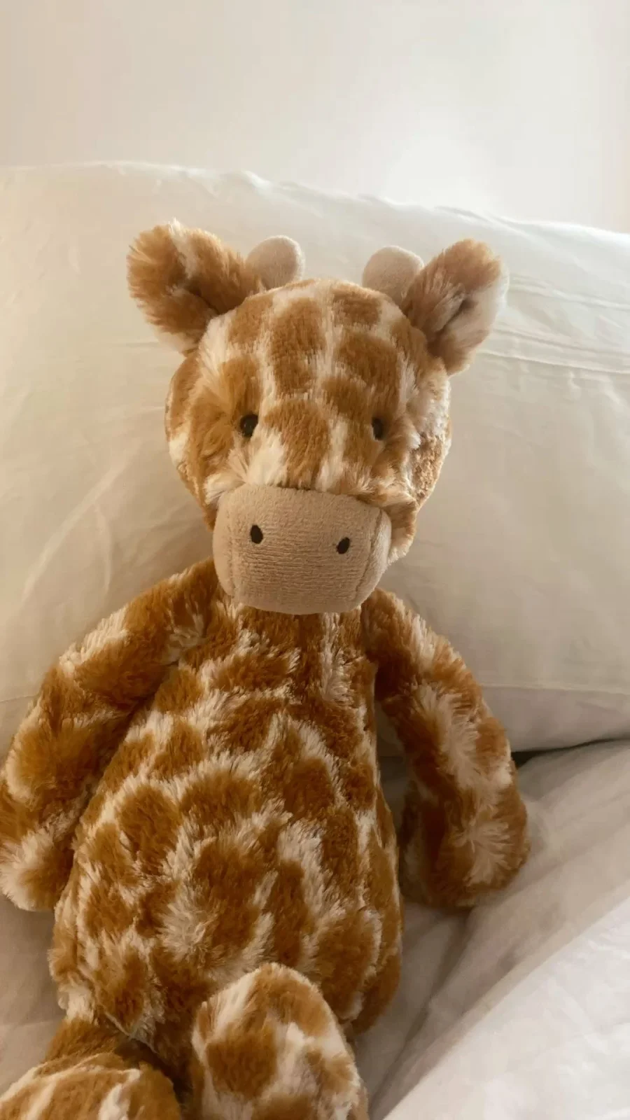 Front - Bashful Giraffe - Medium photo by Leah_hilliard