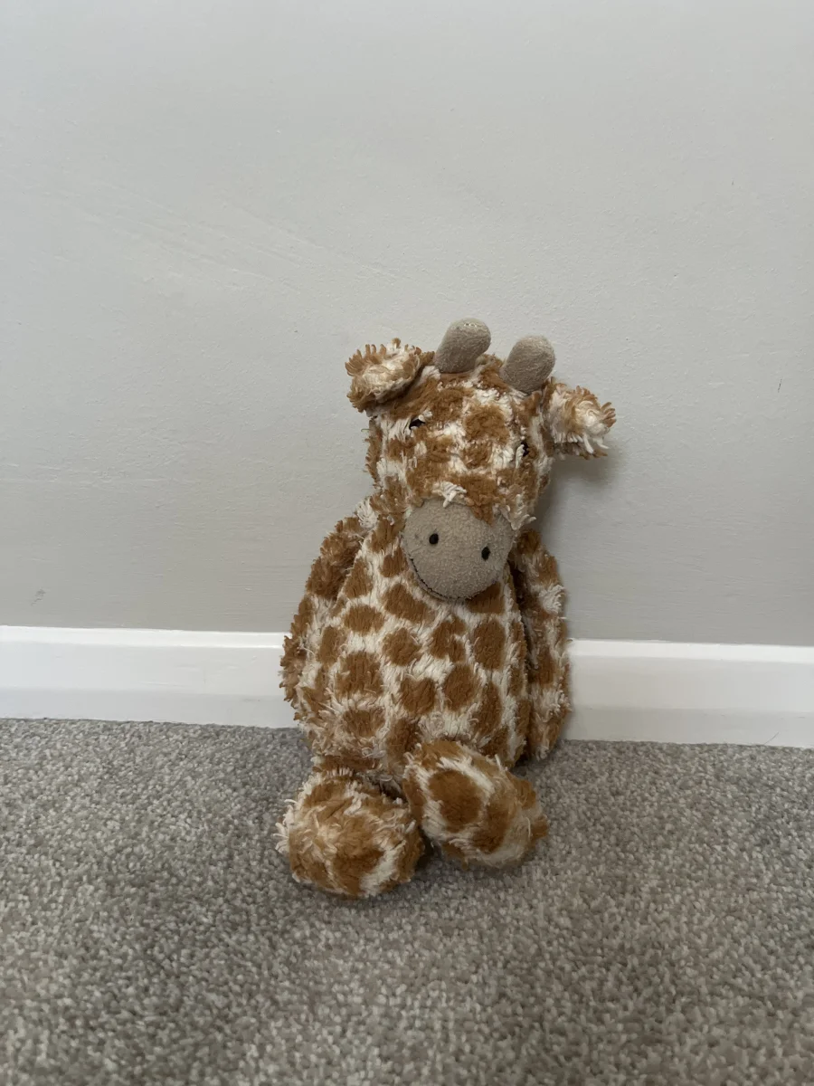 Front - Bashful Giraffe - Medium photo by Isla’s jellycats Xx